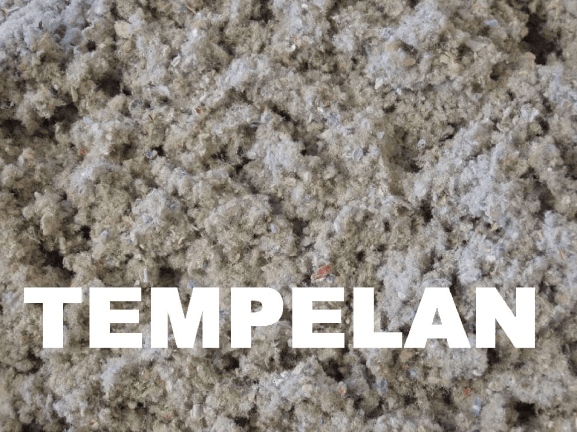 Tempelan